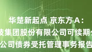 华楚新起点 京东方A: 京东方科技集团股份有限公司可续期公司债券受托管理事务报告(2024年度)