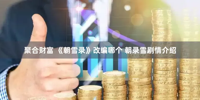 聚合财富 《朝雪录》改编哪个 朝录雪剧情介绍