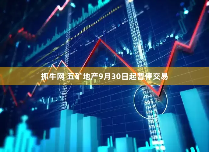 抓牛网 五矿地产9月30日起暂停交易